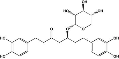 Application of Ethanol Extracts From Alnus sibirica Fisch. ex Turcz in Hair Growth Promotion